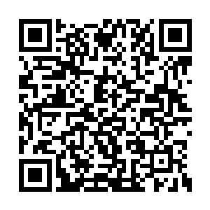 龙且大哥其实一直想着带领手下的尸兄冲出亚洲二维码生成