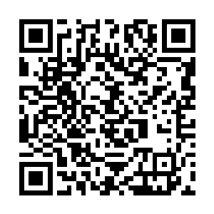 龙之主神的残魂身上顿时也散发出了一股冷厉的气息二维码生成