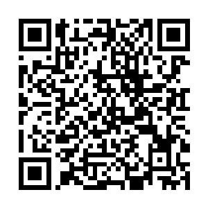 龙之血脉的力量从林烽的心脏位置朝着四肢百骸蔓延二维码生成