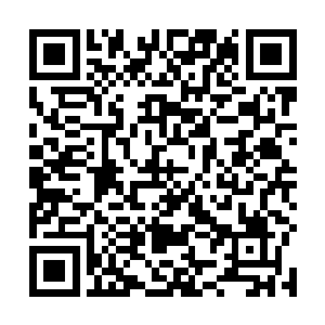 龙之血脉立刻落在了林烽的手上朝着林烽的身体中蔓延二维码生成