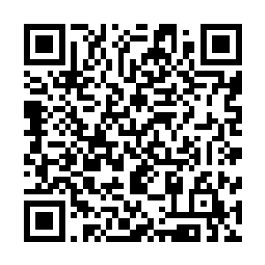 龙傲天一个人坐在会场上的白色藤椅上吃着新鲜的说过想着二维码生成