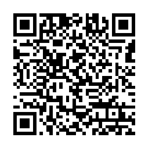 龙傲天两个人在一个绿意盎然的山峰之上降落了下来二维码生成