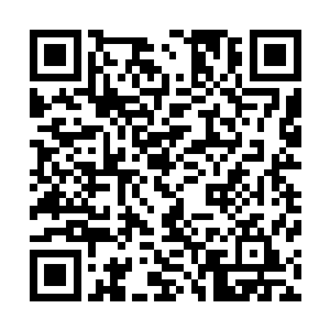 龙傲天两个人跟着流云仙帝来到了一个看上去很气派的房间二维码生成