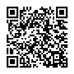 龙傲天也从他口中得知了他当年喜欢族内一个女人二维码生成