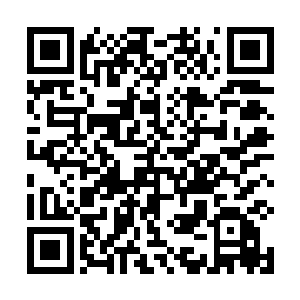 龙傲天也在这7天里面把每一种动物的生活习惯都搞清楚了二维码生成