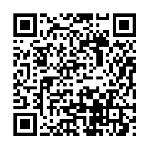 龙傲天也布罗嗦直接拿出了几粒混沌筑基丹给他们二维码生成