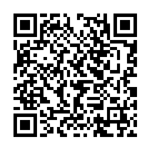 龙傲天也布罗嗦直接拿出了玉简每人两块给了他们二维码生成