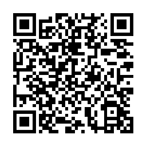 龙傲天也直接拿出了一颗源晶镶嵌到了金玄战傀的胸口之上二维码生成
