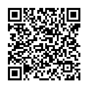 龙傲天也直接轻车熟路的朝着幽家所在的方向赶去二维码生成