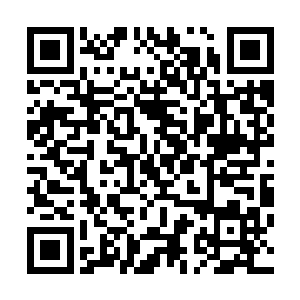 龙傲天也相信即便是自己拿出来对方也绝对不会对自己不利二维码生成