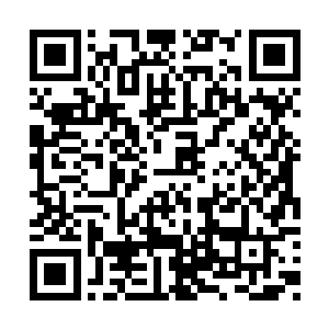 龙傲天也给傲家留下了一样最后的压箱底的东西二维码生成