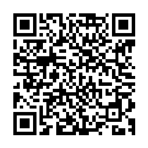 龙傲天也足足花费了上百年的时间这才来到了天古荒域的外围二维码生成