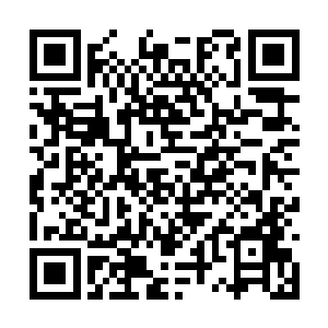 龙傲天也都能够感觉到他们声音之中的顾虑和担忧二维码生成