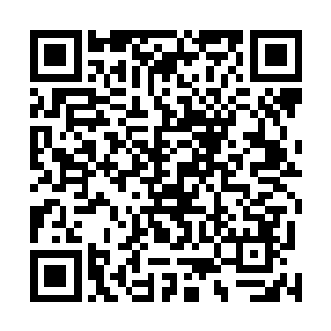 龙傲天从这一击的威力上判断出大概有九级初期的攻击力二维码生成