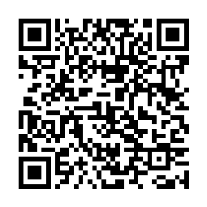 龙傲天众人或许还真的会栽在这个紫幕仙君的手中二维码生成