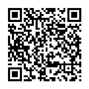 龙傲天估计对方只怕早就应该已经超脱了大帝境界二维码生成