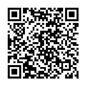 龙傲天估计这两个应该是什么势力走出来的历练弟子二维码生成