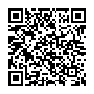 龙傲天倒还有时间取出一件崭新的袍子重新换上二维码生成