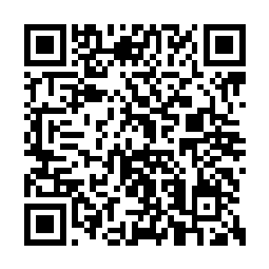 龙傲天全都将他们搬到了鸿蒙鼎的药田空间之中二维码生成