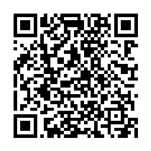 龙傲天再一次将目光放到了昆仑派的几个人身上二维码生成