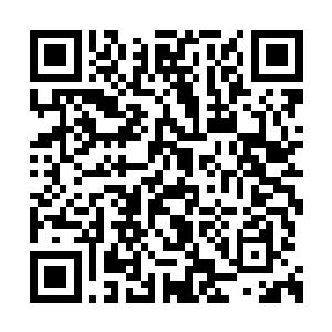 龙傲天冷冷的看着眼前这些墨色之空的克隆体们二维码生成