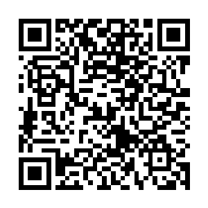 龙傲天几个人基本上至少也应该遭遇两三次的混沌风暴二维码生成