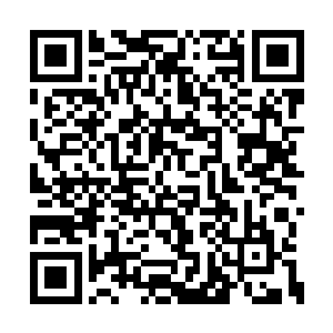 龙傲天几个人所承受的压力也是绝对不容小觑的二维码生成