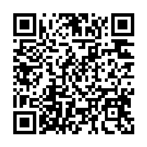 龙傲天几个人根本就没有见过其余的生物的存在二维码生成