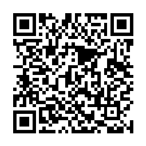 龙傲天击杀一个普通的噬灵鼠只能够得到一点解封点数二维码生成