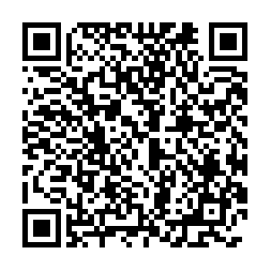 龙傲天发现在那边金子塔争斗的人剩下的大部分都是那几大门派的人了二维码生成