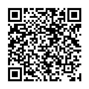 龙傲天受到的伤势月恐怖他身上的不安也就越浓郁二维码生成