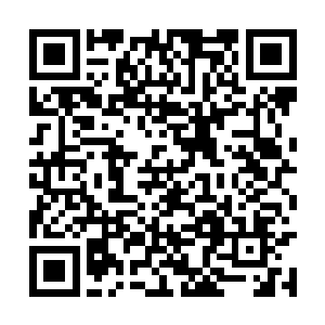 龙傲天只感觉一股无比恐怖的强大的撕扯之力传来二维码生成