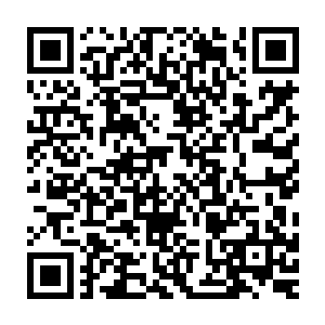 龙傲天只感觉一股无比恐怖的深入灵魂深处的痛楚的感觉传遍全身二维码生成