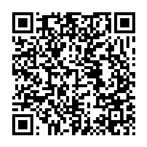 龙傲天只感觉一股无比暴虐的气息瞬间从血魂老祖的身上爆射而出二维码生成