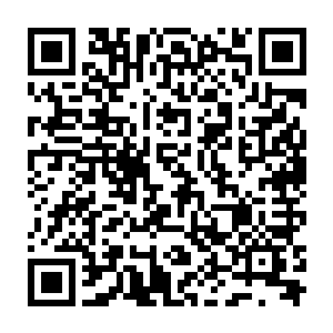 龙傲天只感觉周围的恐怖的雷之力也开始疯狂的朝着雷兽的身边狂涌而去二维码生成