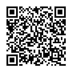 龙傲天只感觉整个天地的力量全都加持到了自己的身上一般二维码生成