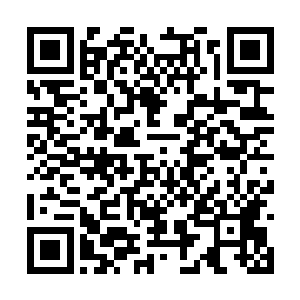 龙傲天只感觉紫衣人身上的气息也瞬间下降了不少二维码生成