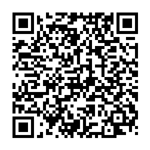 龙傲天只感觉虚空之中的天碑的气息比之前的时候陡然间提升了十倍不止二维码生成