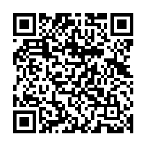 龙傲天只感觉血魂老祖身上的气势仿佛坐了火箭一般疯狂的提升二维码生成