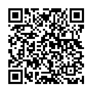 龙傲天只能动用了留在问天帝君身上的铠甲上的后手二维码生成