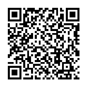 龙傲天可不会傻傻的认为那些门派没有帝君级别的高手二维码生成