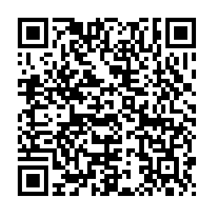 龙傲天可以想象到到时候洞府开启的时候绝对会有一场惊天的大战二维码生成