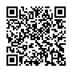 龙傲天可以说几乎都在杀戮和他逃窜之中渡过的二维码生成