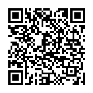 龙傲天可是直接将自己体内的所有的能量全都催动了起来二维码生成