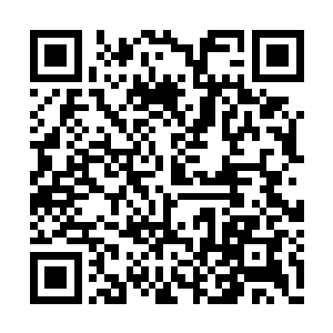 龙傲天听到龙天行的话之后顿时有些激动地说道二维码生成