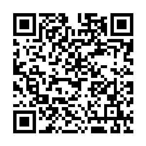 龙傲天回过神之后发现几个人的目光都停留在了自己的身上二维码生成