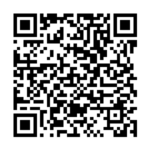 龙傲天在他们紧张的时候就把他们的未来制定好了二维码生成