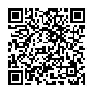 龙傲天大闹源魔殿的事情虽然说源魔殿极力的压制二维码生成