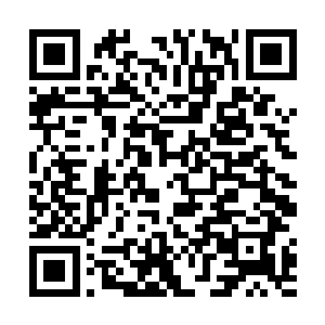 龙傲天好奇的拿起其中的一个盒子打开一看是一个玉简二维码生成