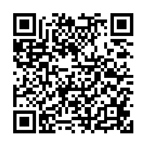 龙傲天将半颗藏有世界本源之力的珠子收进了起来二维码生成